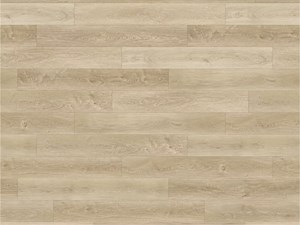 Paradigm Conquest Squire 9 x 72